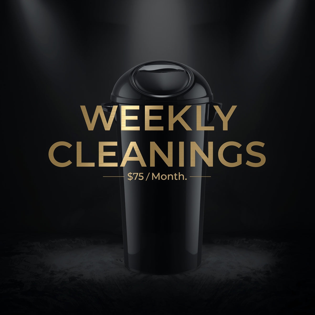 🔄 Standard Weekly Cleaning — $75/month (up to 2 bins)